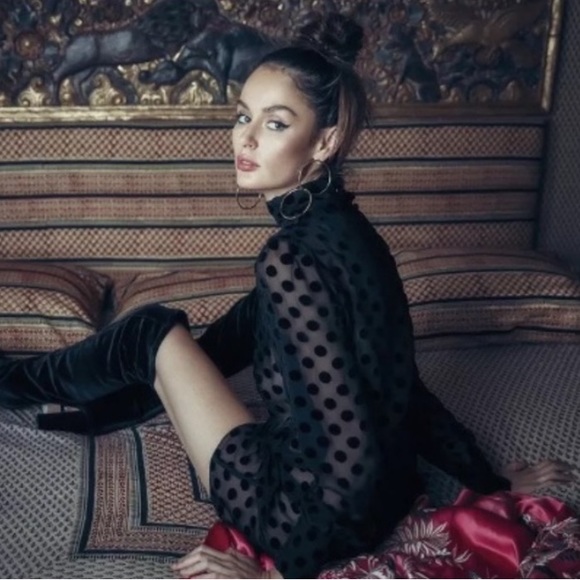 Stone Cold Fox Sheer Velvet Polka Dot Dress - Picture 6 of 16